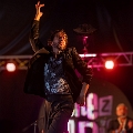 flamenco (71)